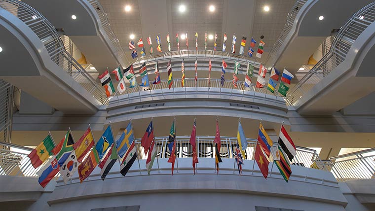 International flags along Strong Hall stairwell. 